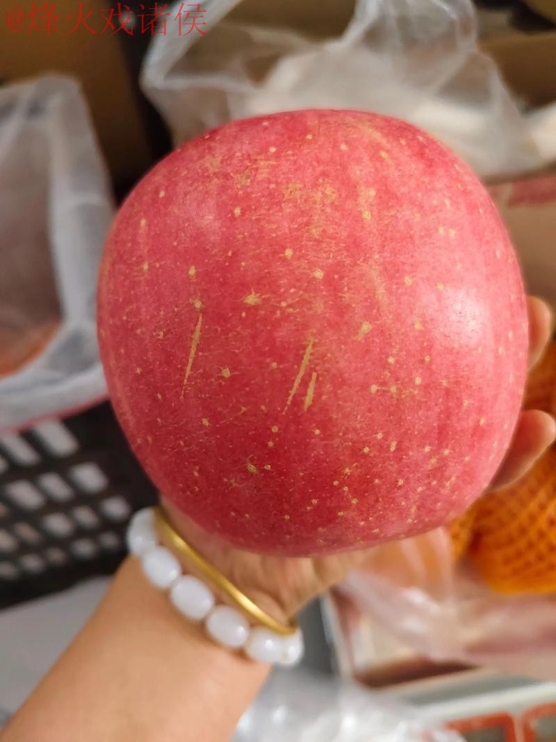 世界杯盘口苹果官方